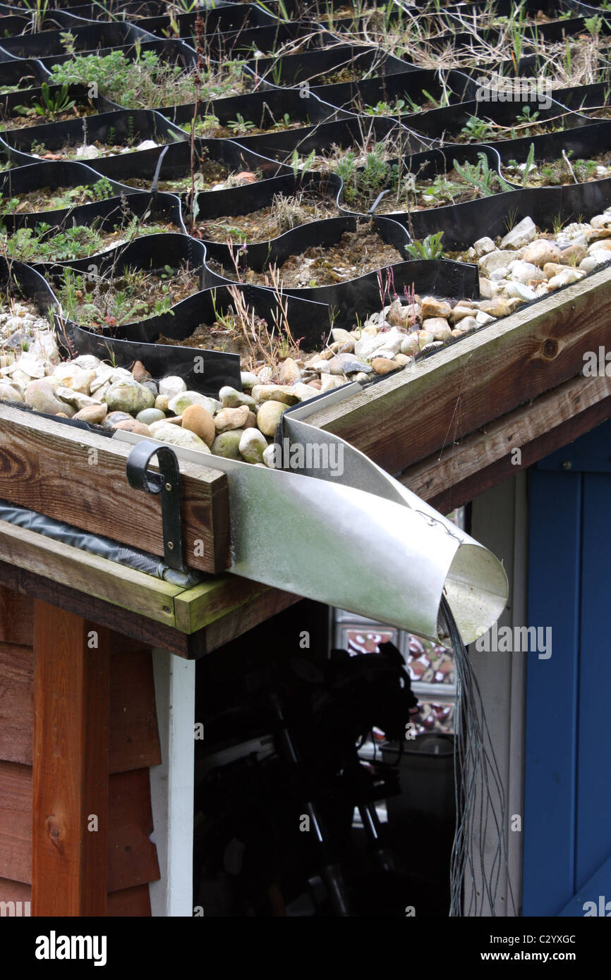 hand made green roof on garage workshop using plastic membrane and waterproof barrier Sussex England Stock Photo