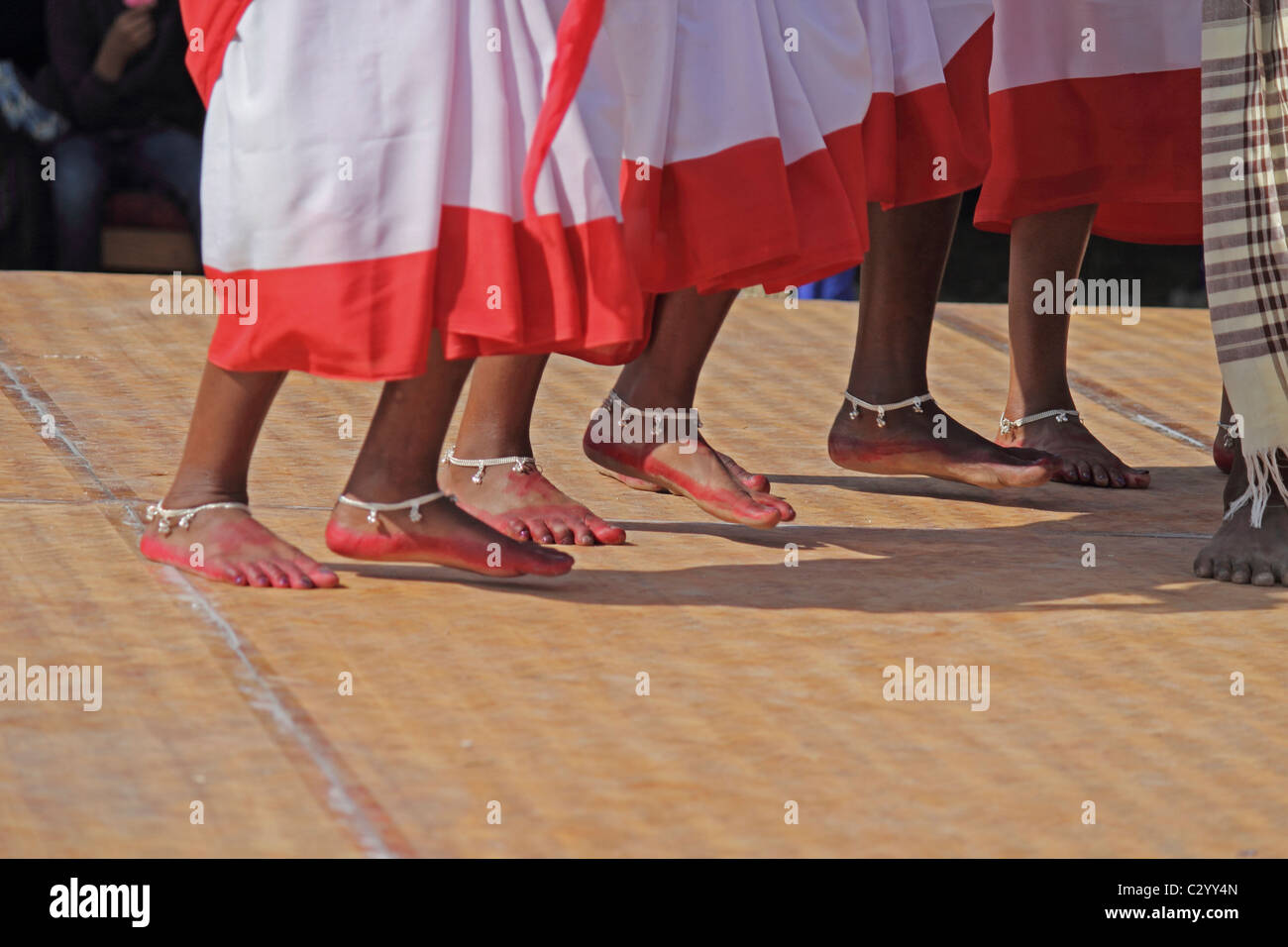 Tea tribes Performing Traditional Jumur Dance at Namdapha Eco Cultural