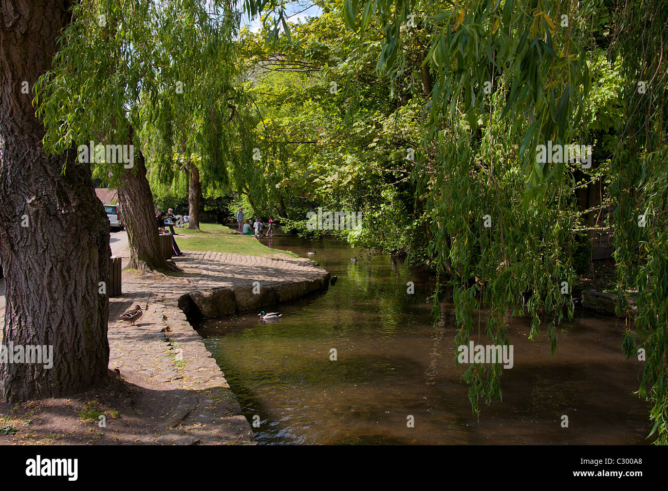 the stream in Shere, Guildford, Tillingbourne Valley, Surrey, England Stock Photo