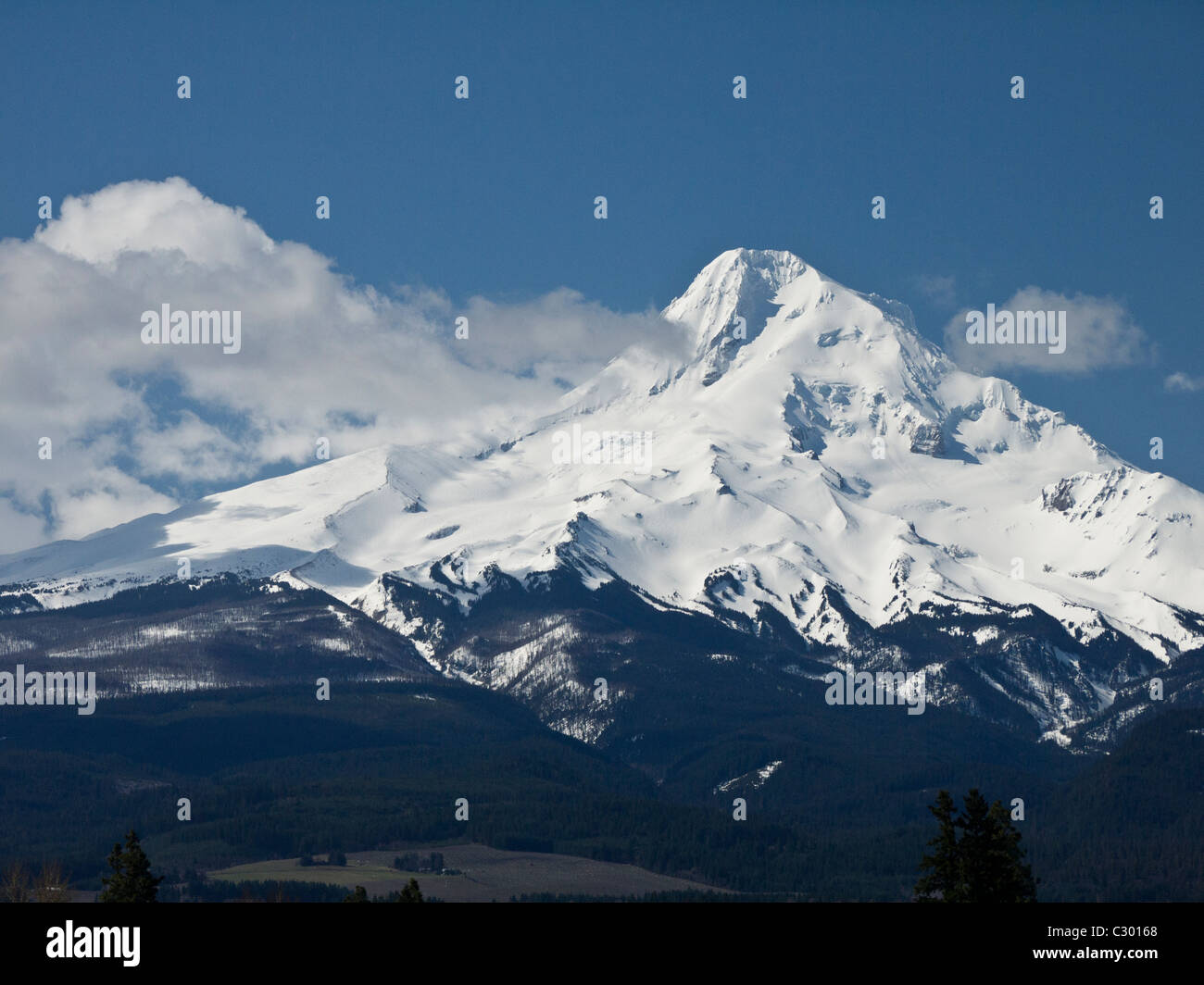 Snow on Mt. Hood in Oregon, USA Stock Photo