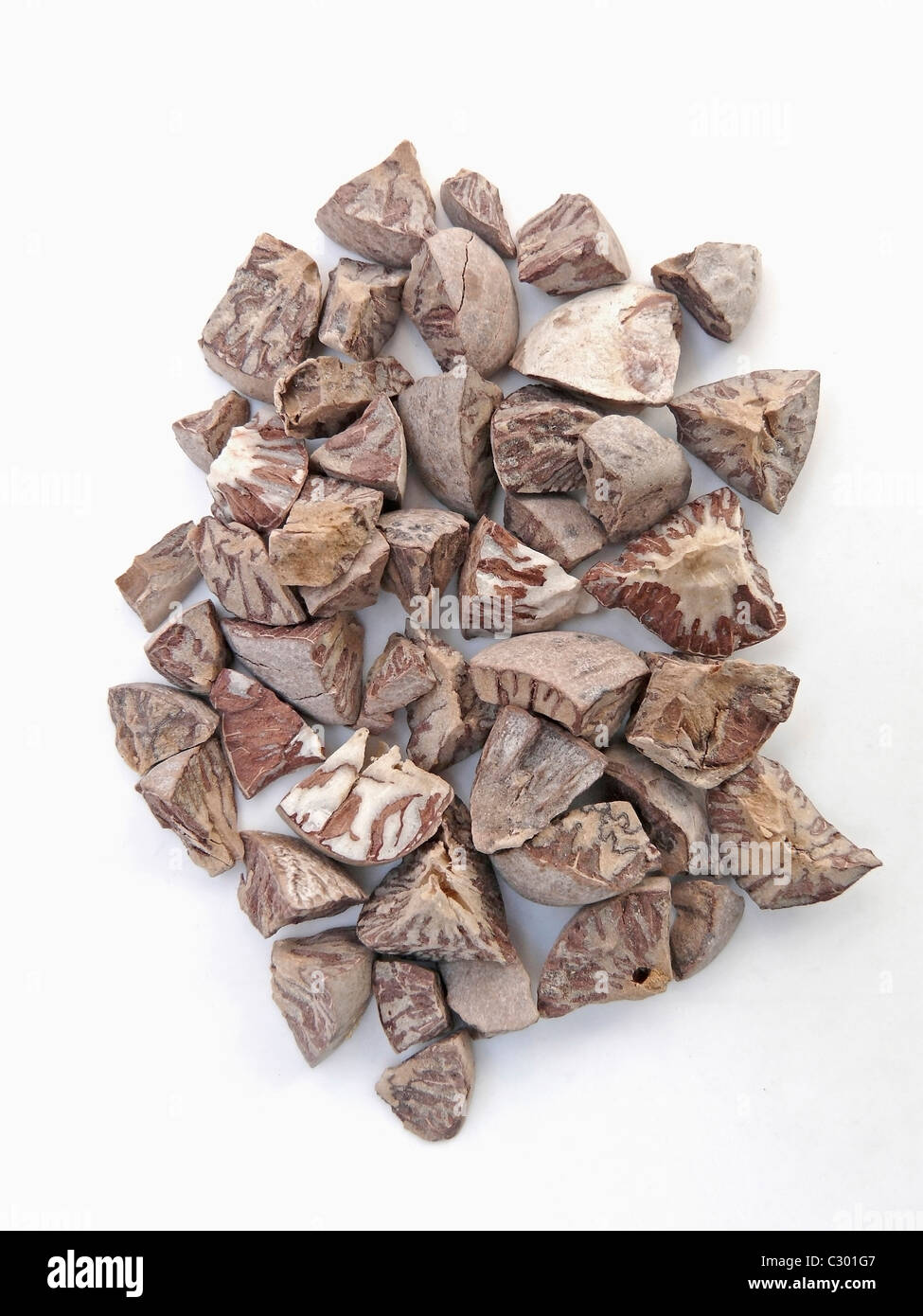 Areca catechu, Betel nuts, India Stock Photo