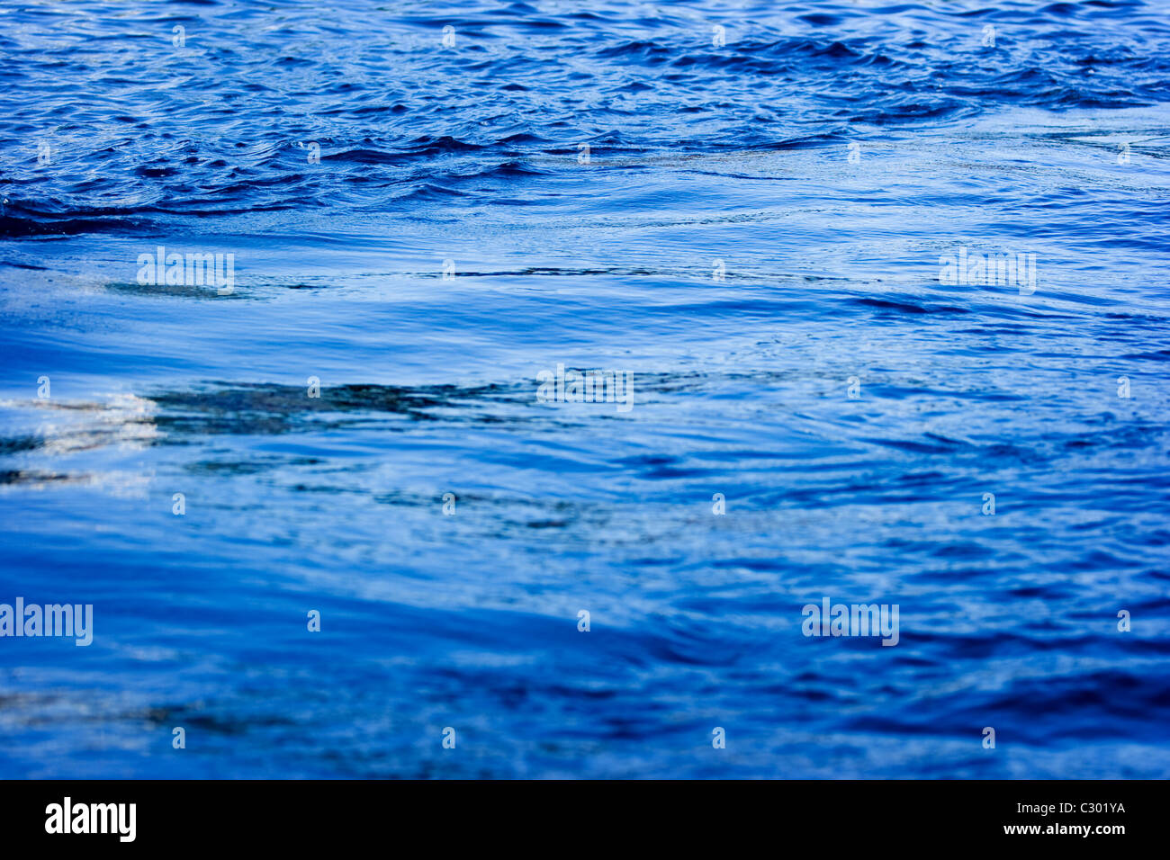 Navy - the color of the sea, stability and harmony 91 Navy - the color of the sea, stability and harmony 49