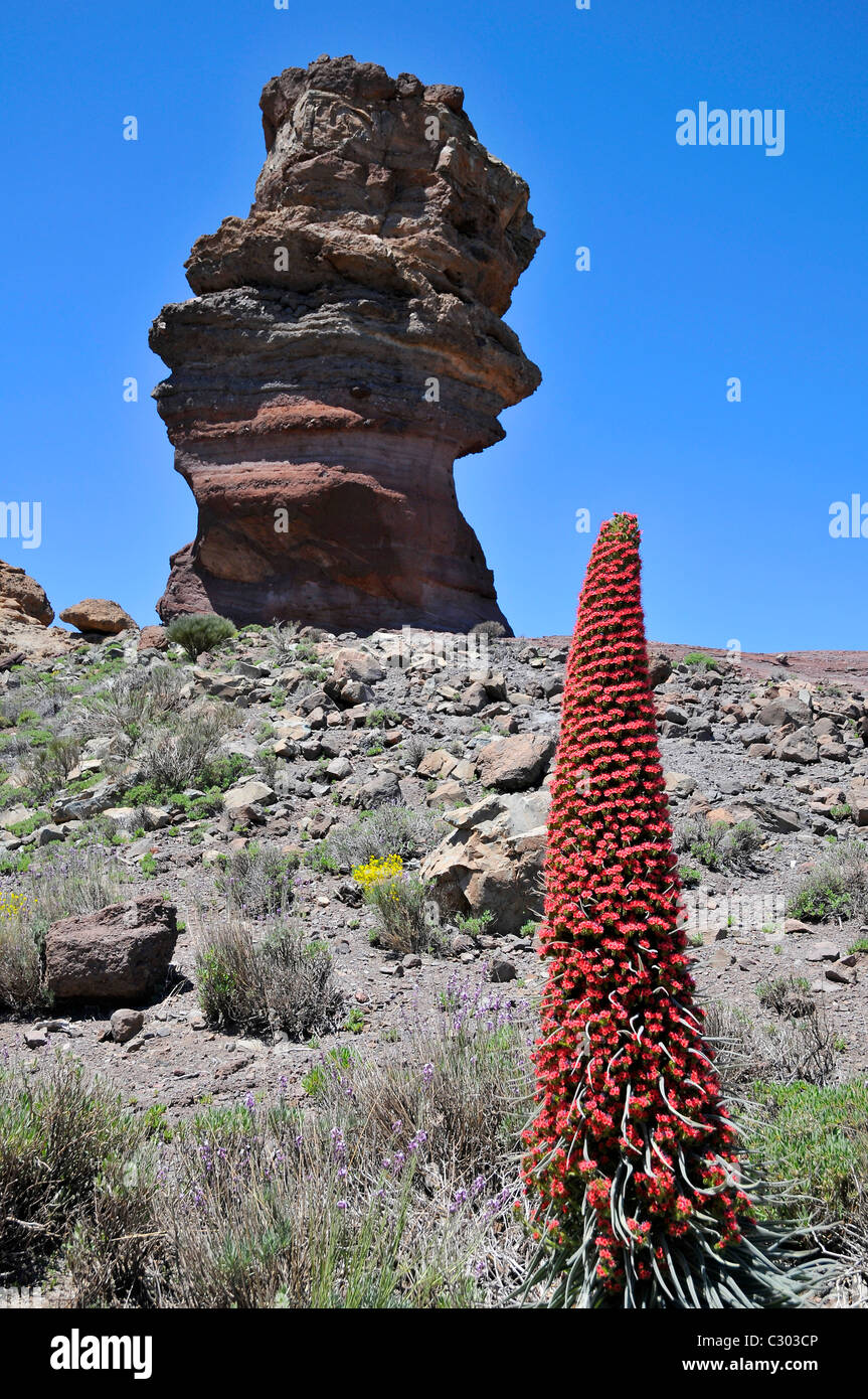 Famous big rock "Cinchado" and symbolic tower of jewels (Echium