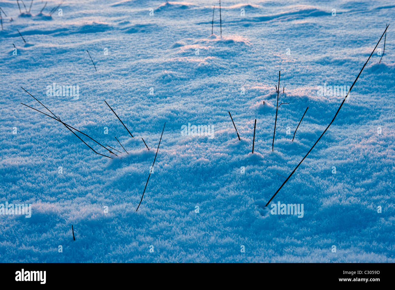 Snow crystals in a snow-covered field in The Cotswolds, Swinbrook, Oxfordshire, United Kingdom Stock Photo