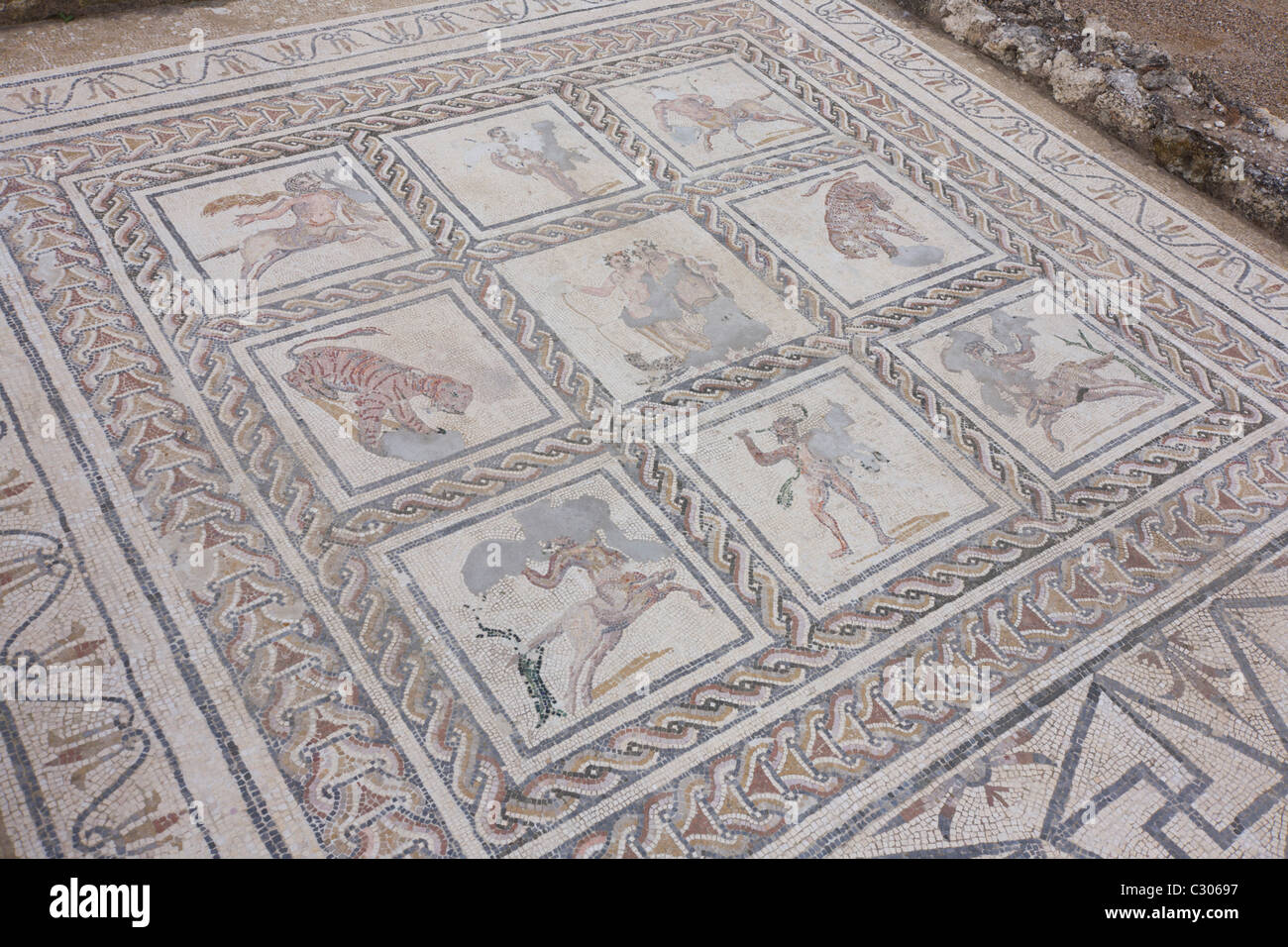Mosaic representations of Roman animals in the abandoned city of Italica, near Seville. Stock Photo