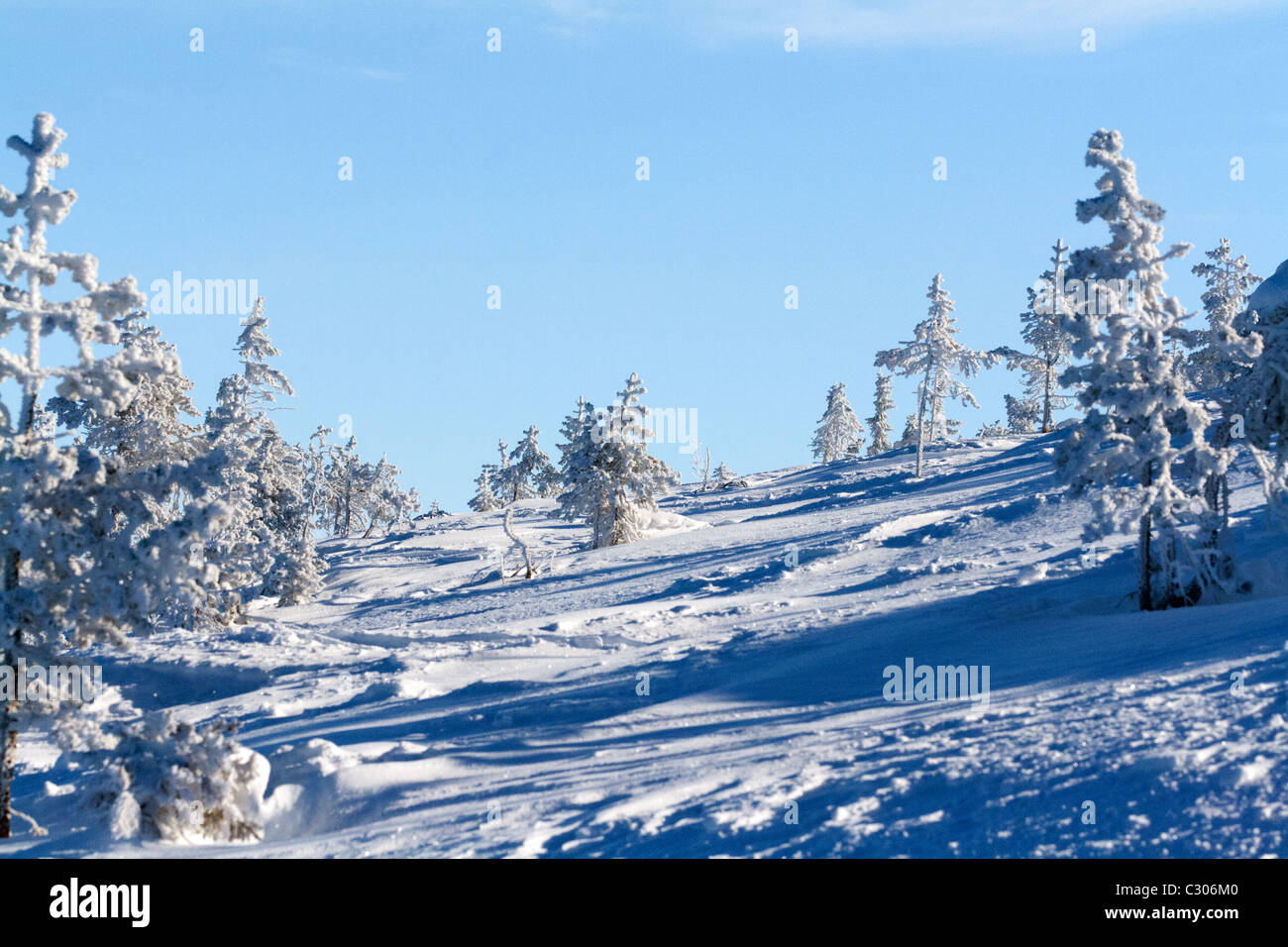 winter landscape, mountains, pine trees in snow Stock Photo - Alamy