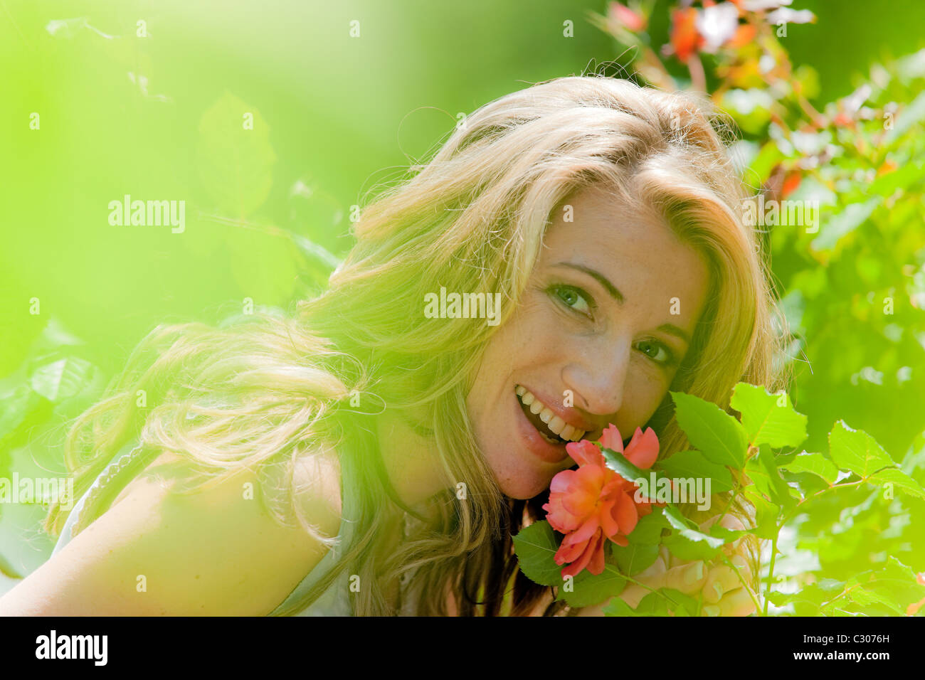 Woman smelling a rose in the garden Stock Photo - Alamy