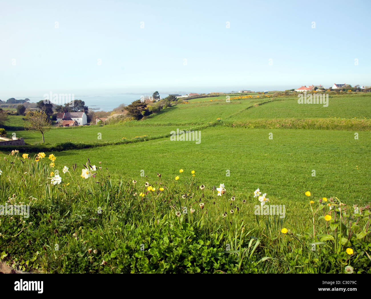 St Pierre du Bois countryside view Guernsey, Channel islands Stock