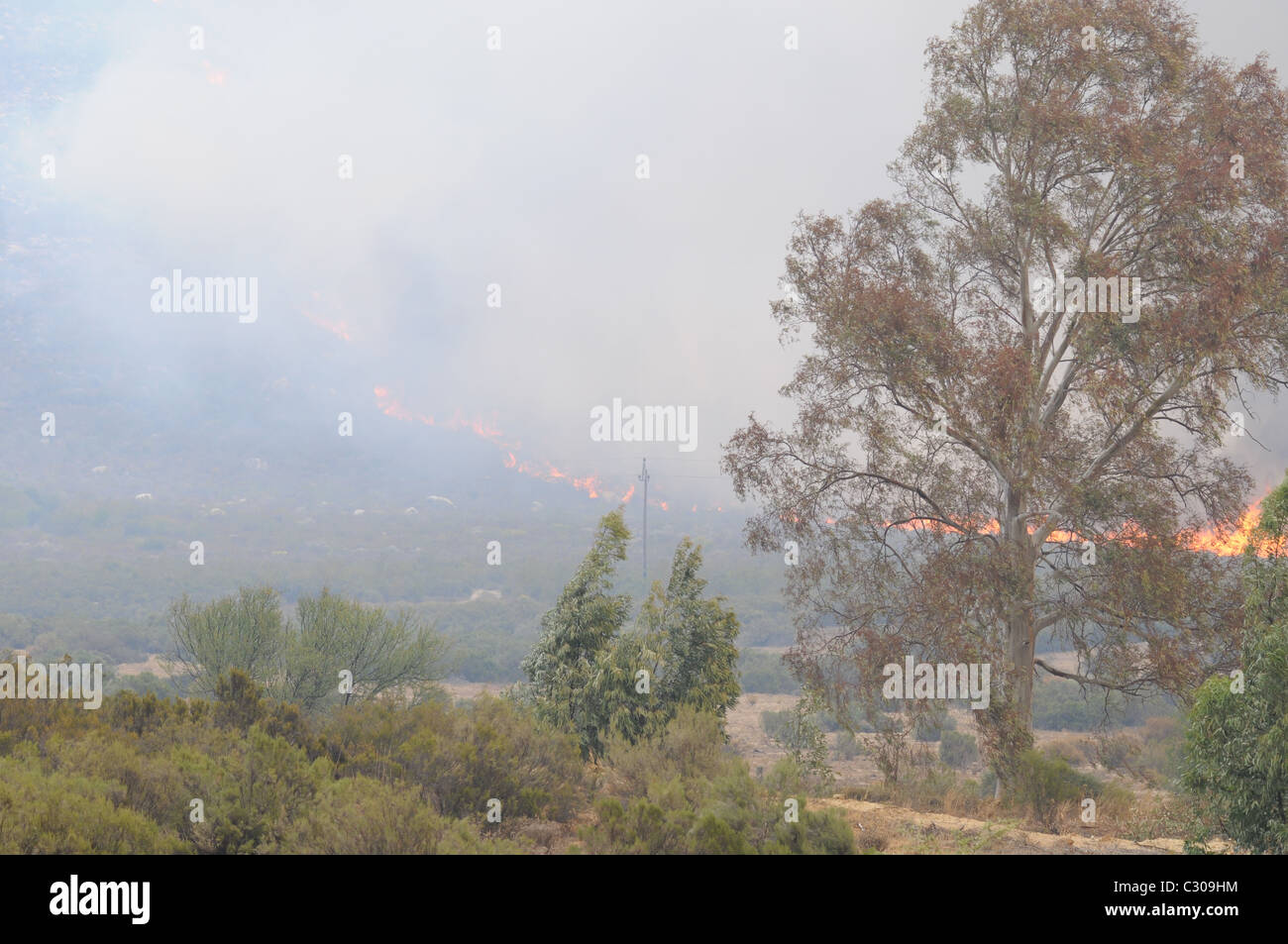 heather fire, flames, smoke, nature of fire, bush fire Stock Photo