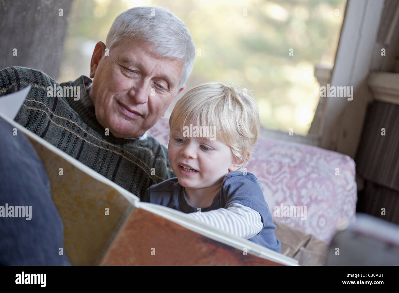Grandfather reading a book to his grandchild Stock Photo