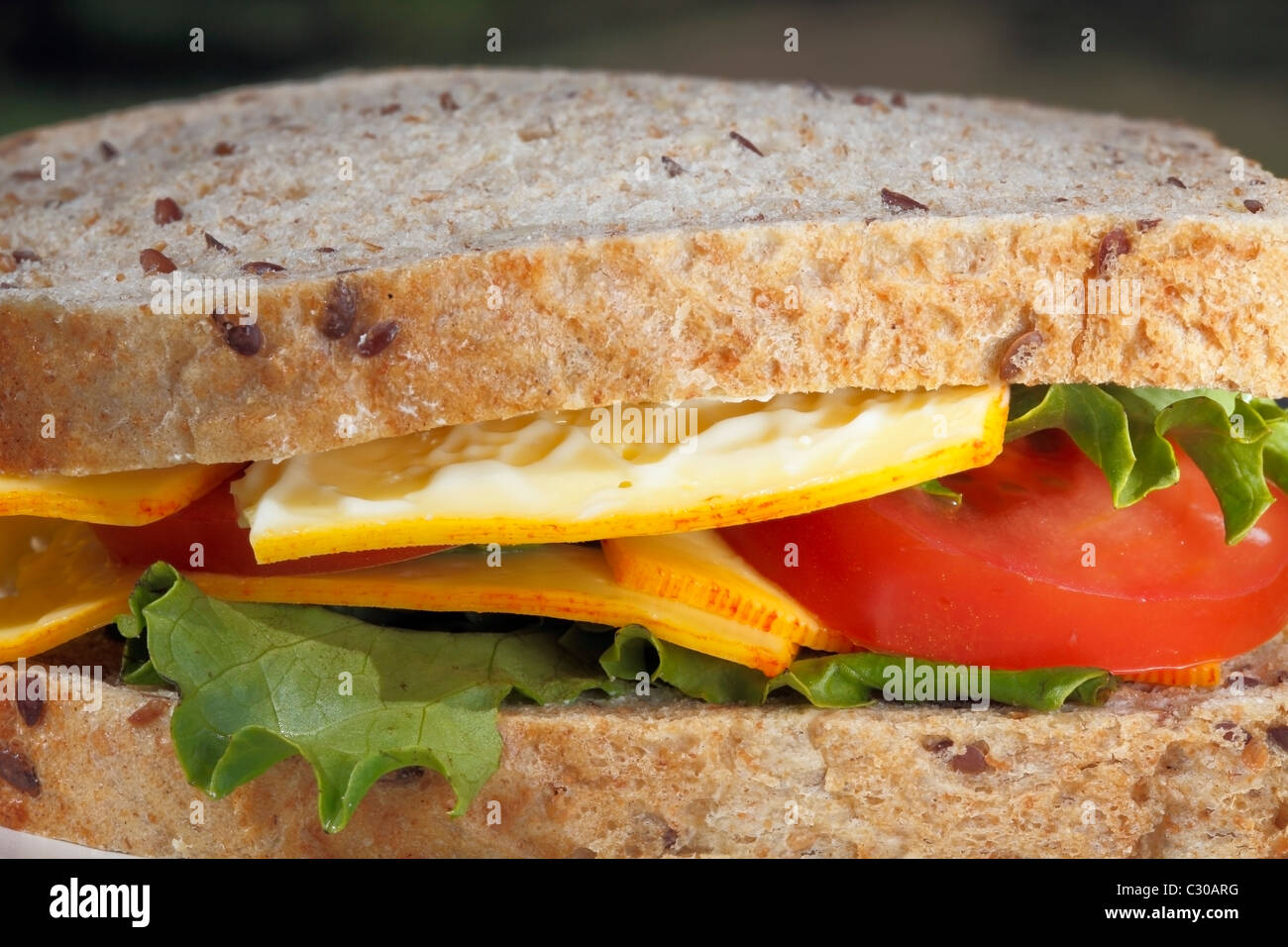 Cheese sandwich Stock Photo