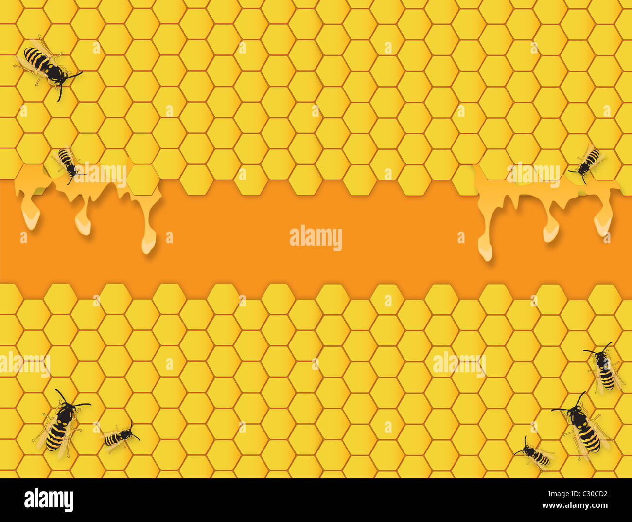 Honey Bee Hive Wallpaper
