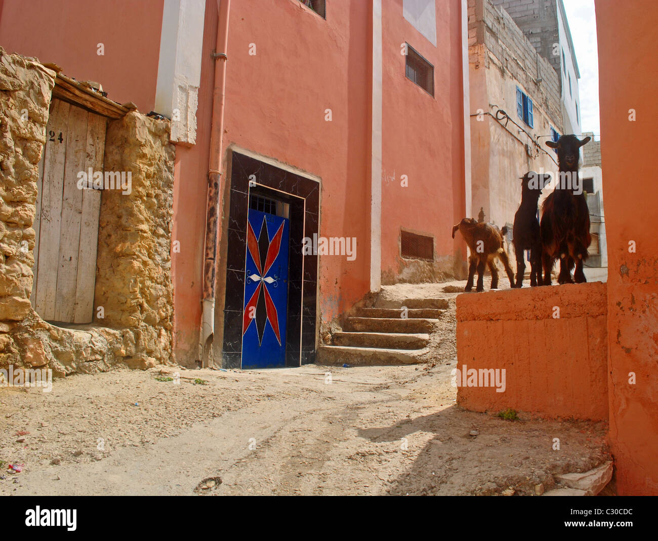 Goats and colourful door, Morocco Stock Photo