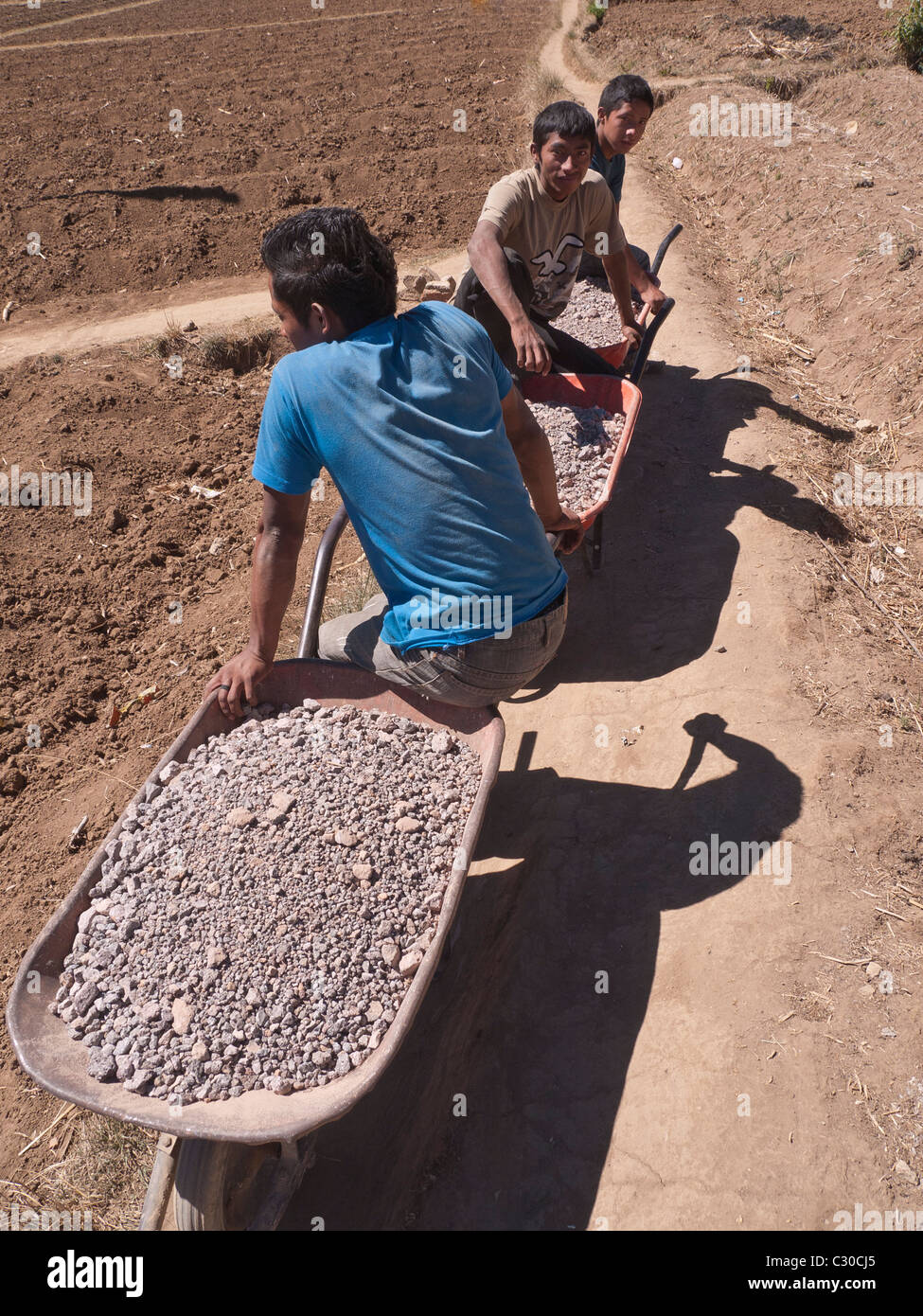 Three young adult male workers haul wheelbarrows full of crushed rock ...