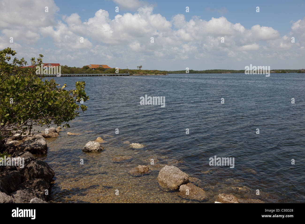 Shore of Biscayne National Park in Florida Stock Photo