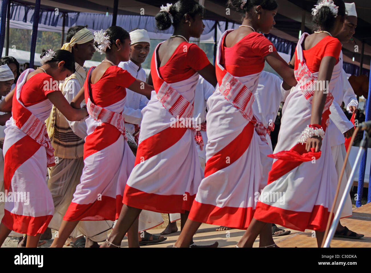 Tea tribes Performing Traditional Jumur Dance at Namdapha Eco Cultural