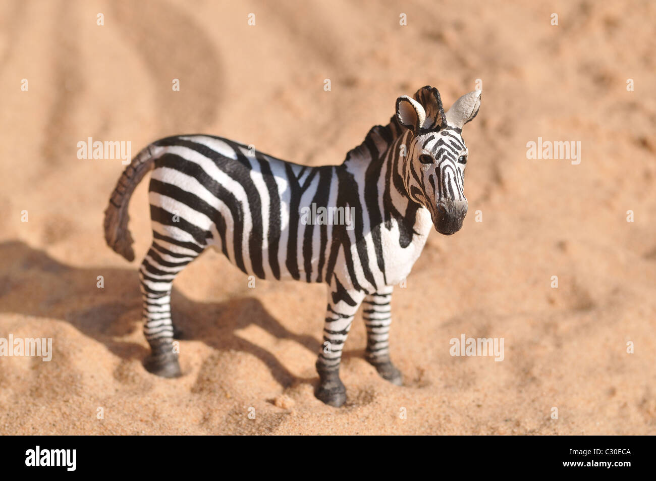 Zebra plastic toy figurine Stock Photo Alamy