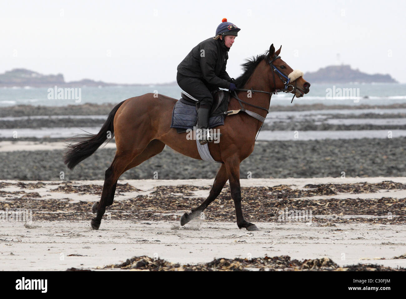Horse on St Ouen Beach, Jersey Channel Islands Stock Photo Alamy