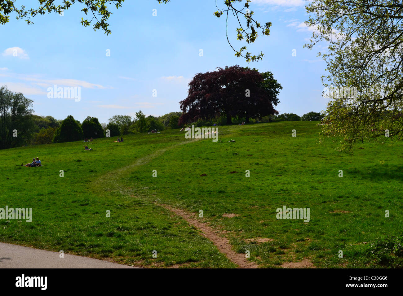 Hampstead Heath London Stock Photo Alamy