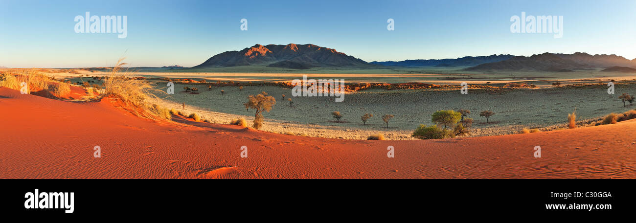 Panoramic view showing the unique ecology of the south-west Namib desert or pro-Namib. NamibRand Nature Reserve, Namibia Stock Photo