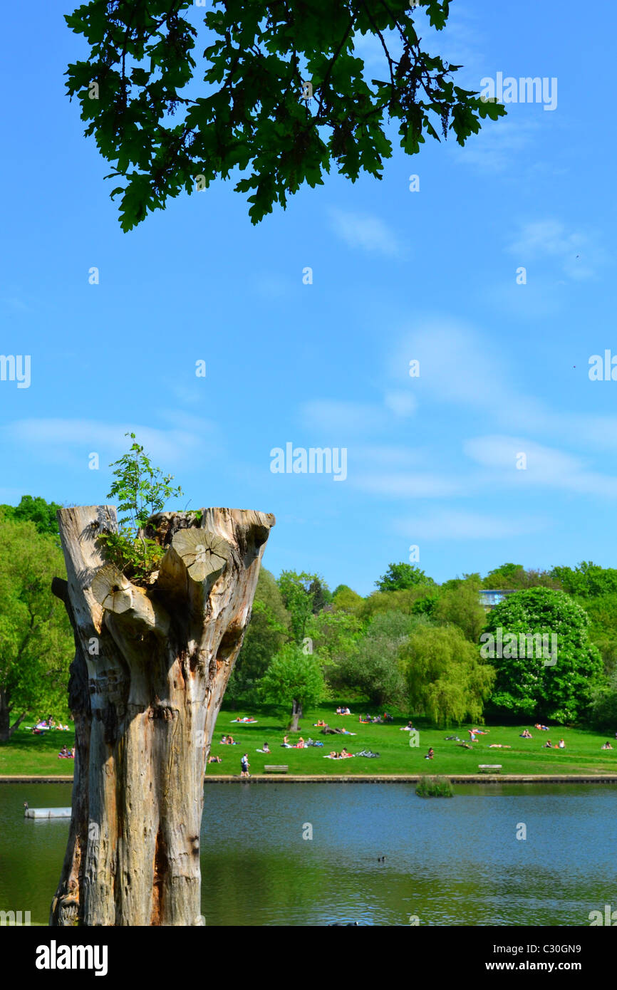 Hampstead Heath London Stock Photo Alamy