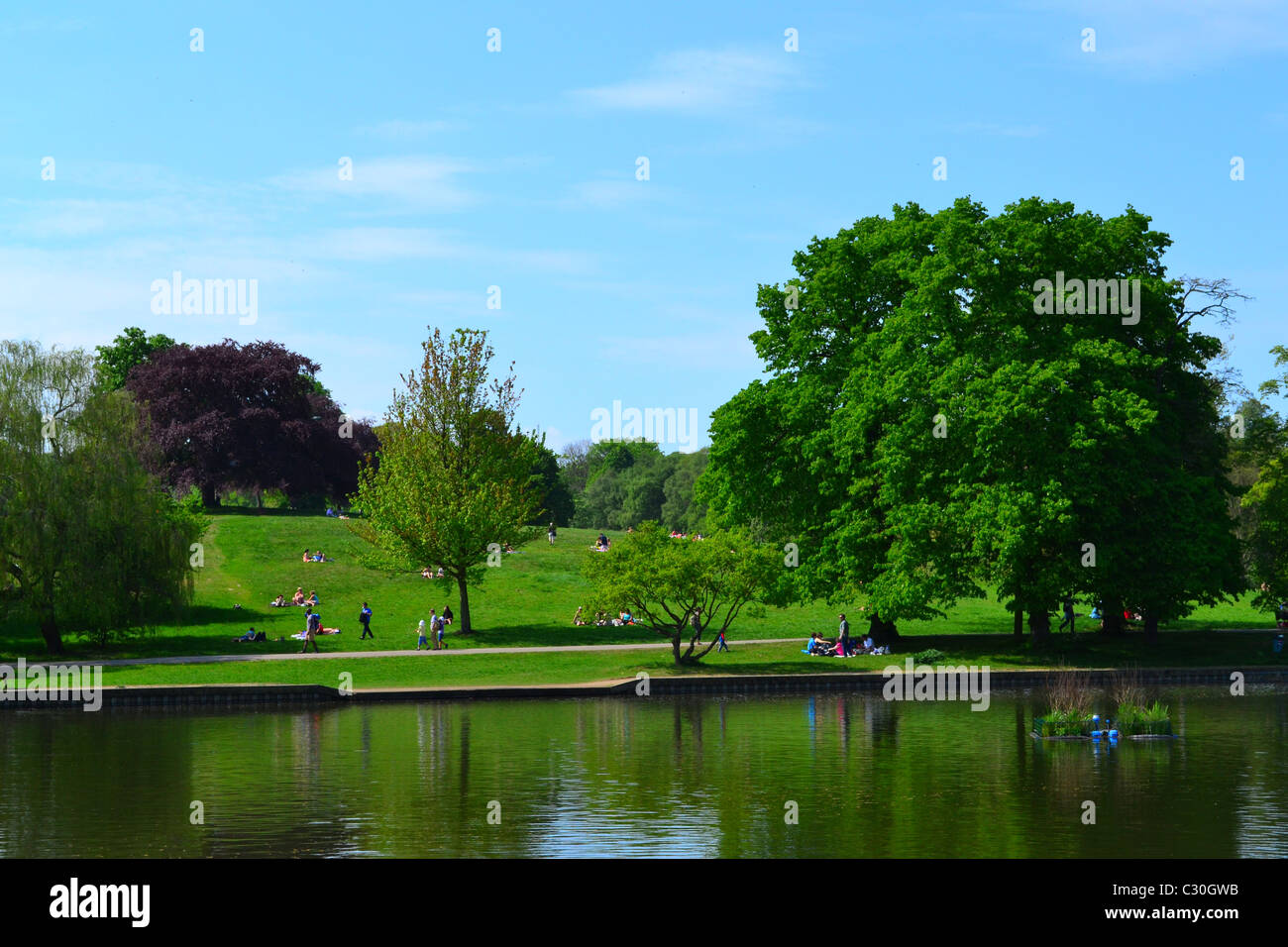 Hampstead Heath London Stock Photo Alamy