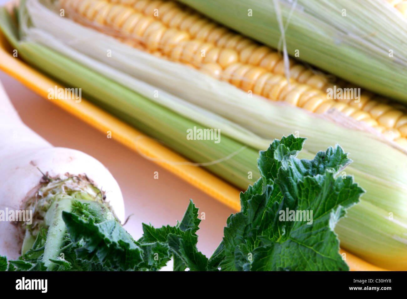 Ear of Corn Stock Photo Alamy