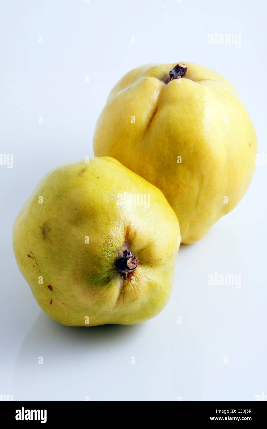 Quince Stock Photo