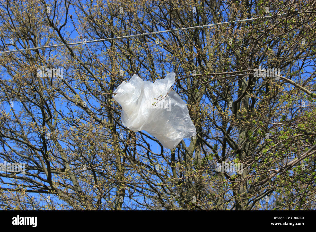 Rubbish ban hires stock photography and images Alamy