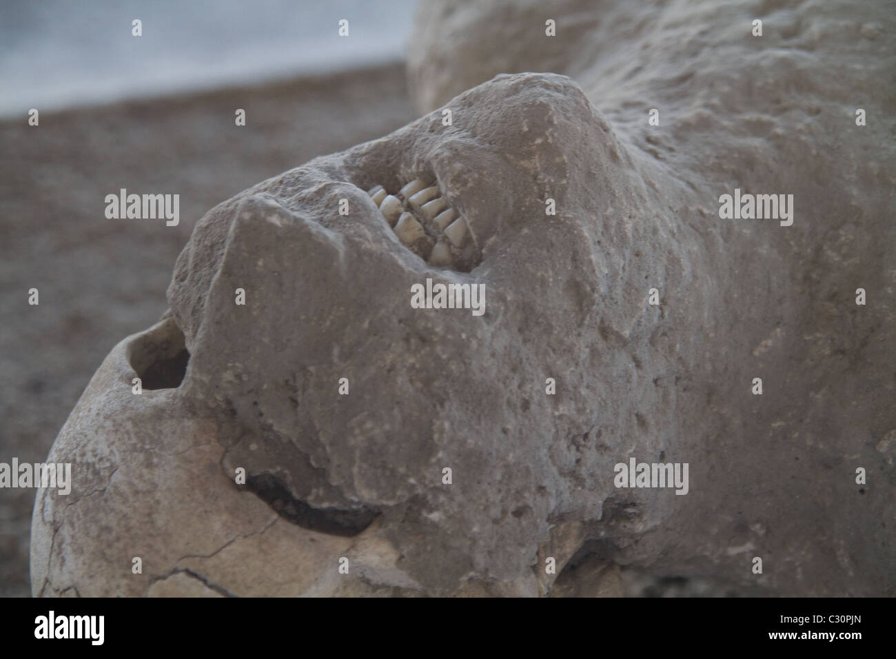 Corpse preserved remains of human ashes in pompeii Stock Photo Alamy