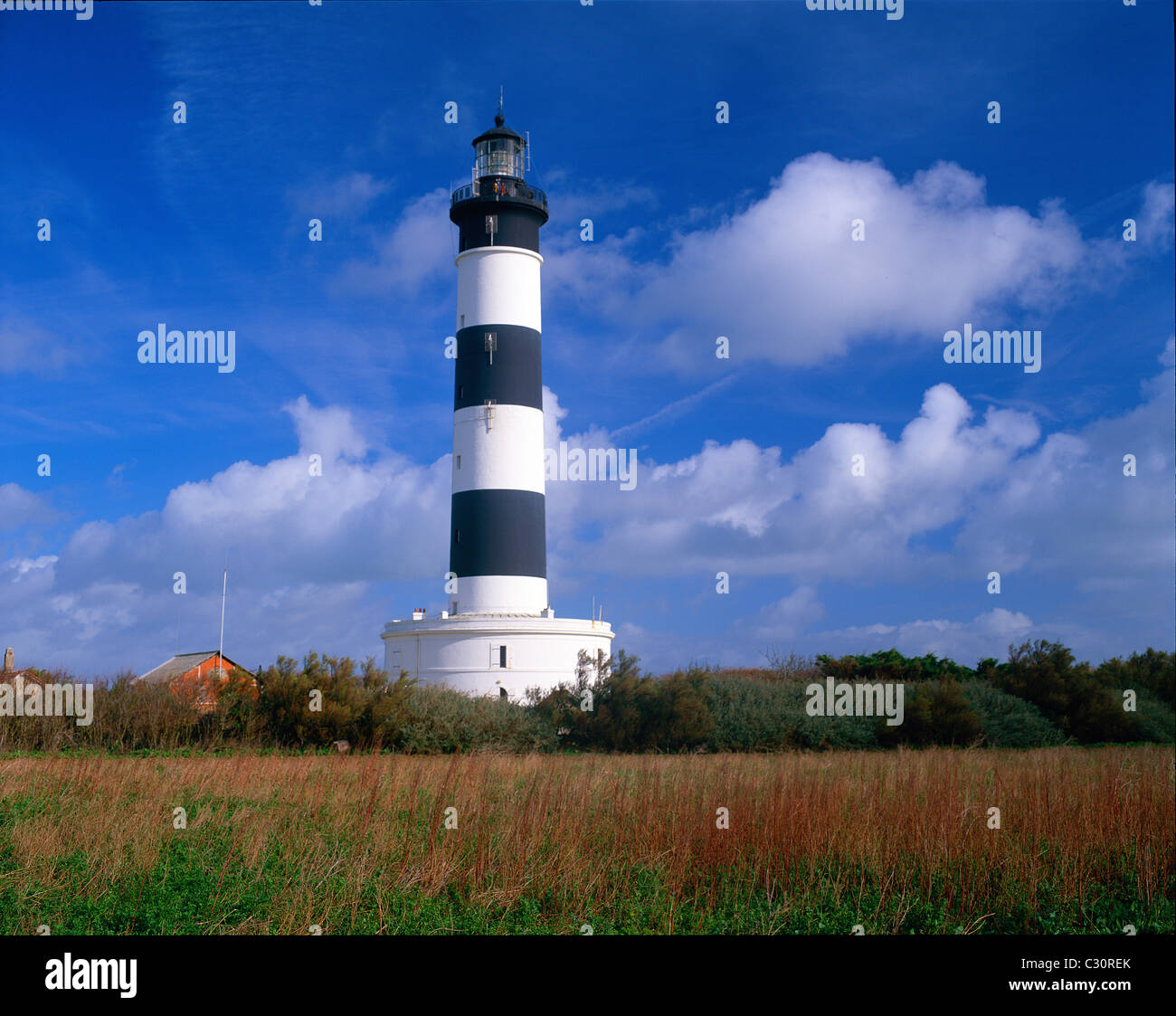 Phare d'Chassiron, Ile d'Oleron, France Stock Photo Alamy