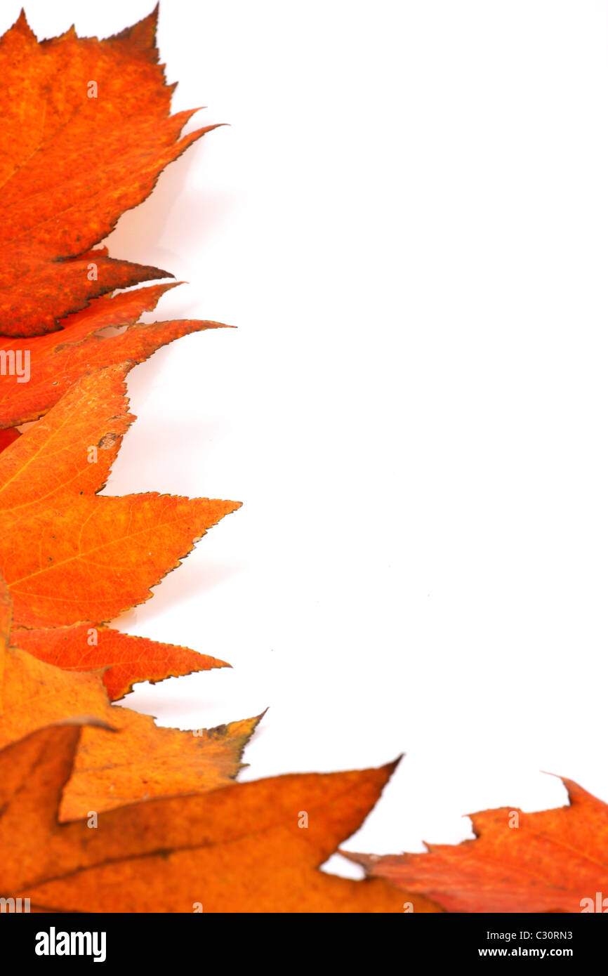 Autumn leaves lyrics hi-res stock photography and images - Alamy