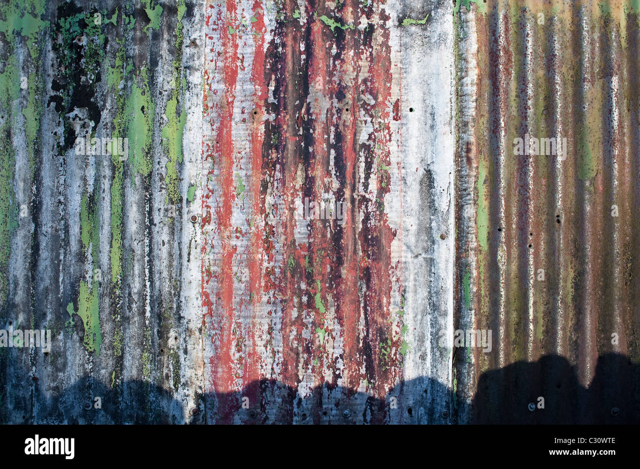 Paint flaking off rusting corrugated iron, on a barn in Northumberland