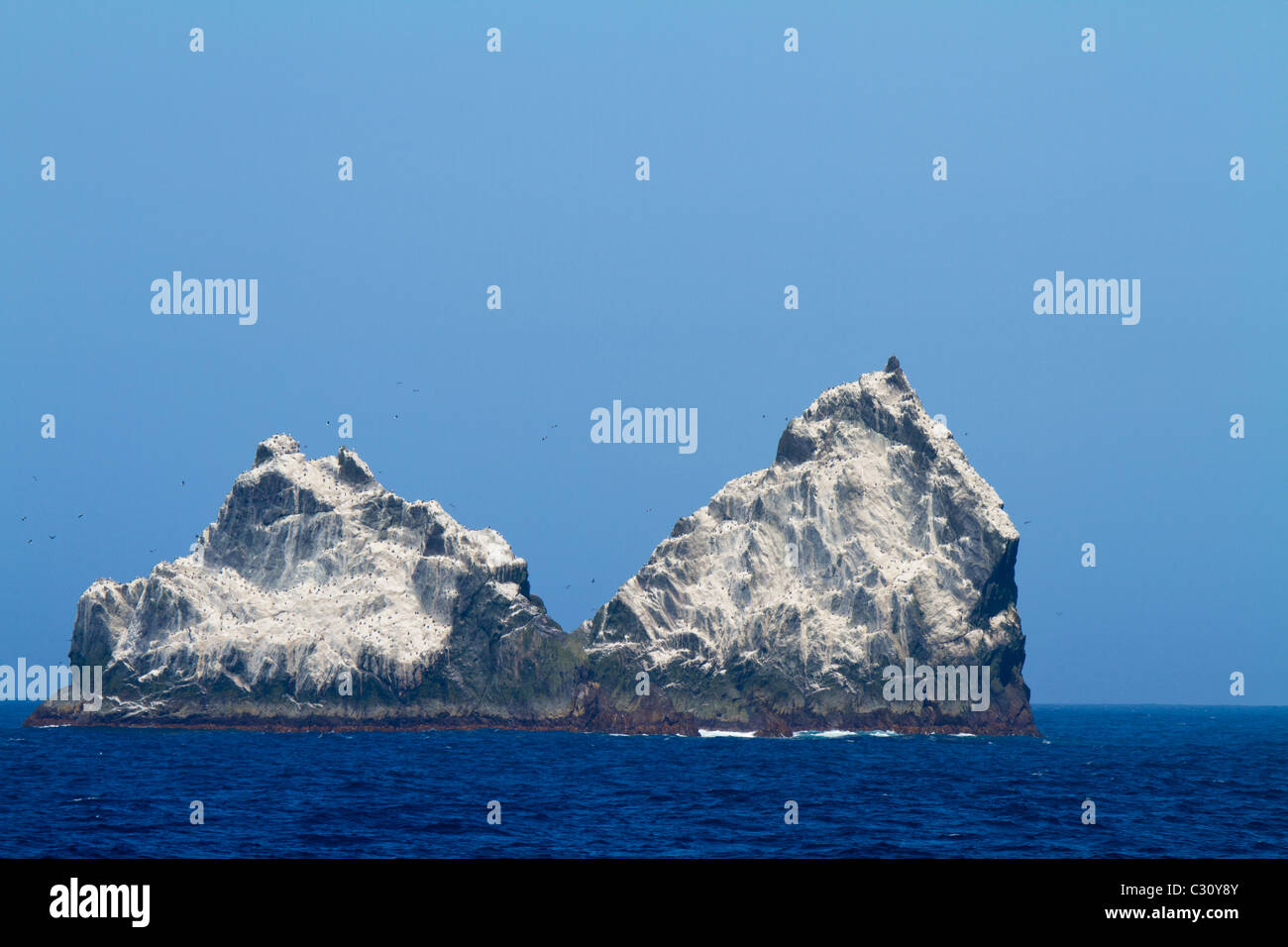 Shag Rocks, South Atlantic Ocean Stock Photo - Alamy