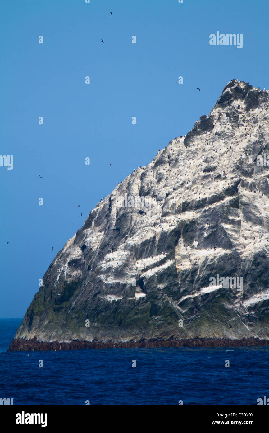 Shag Rocks, South Atlantic Ocean Stock Photo - Alamy