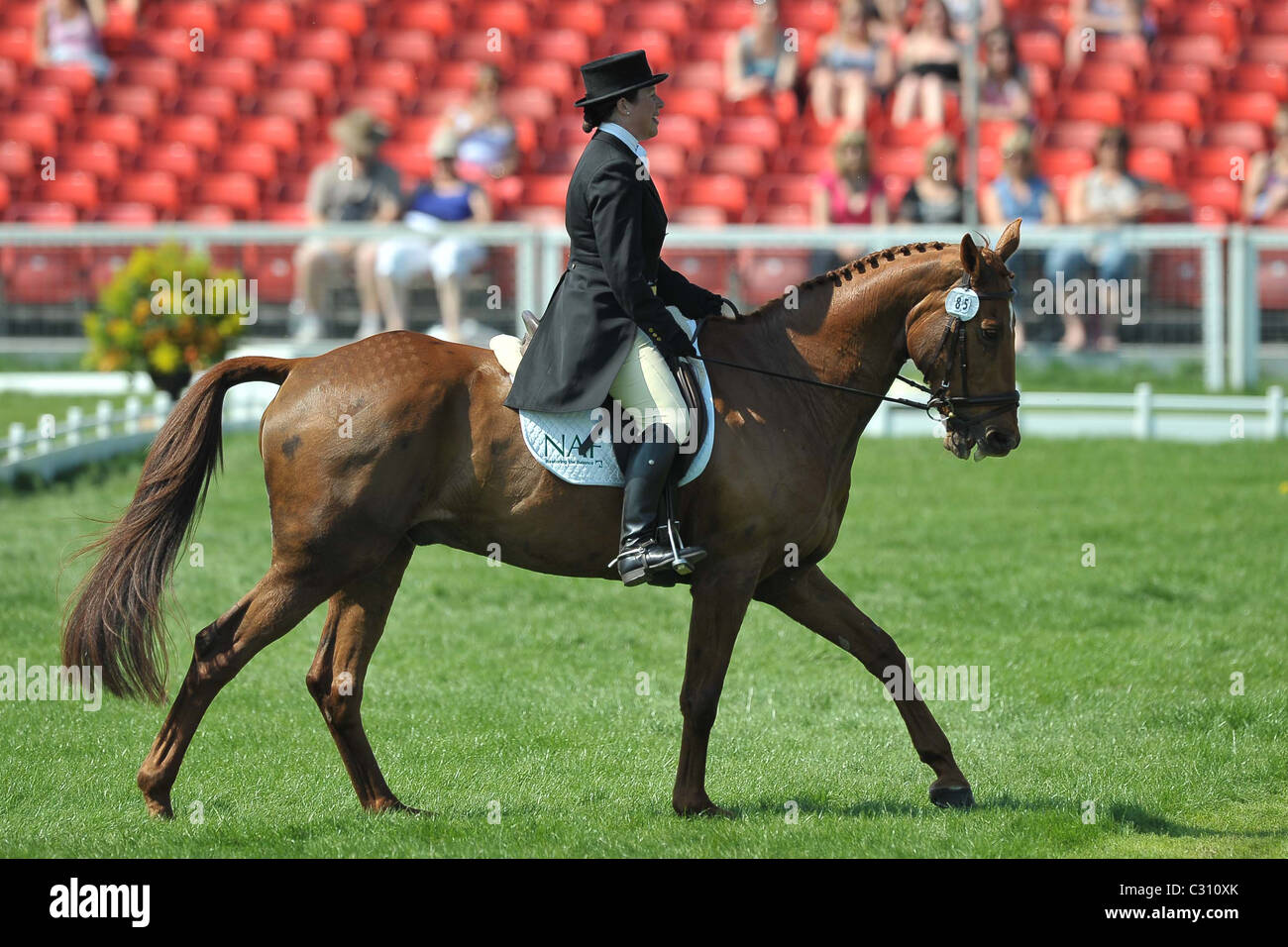 Rosie Thomas riding BARRY'S BEST. Mitsubishi Badminton Horse Trials Stock Photo