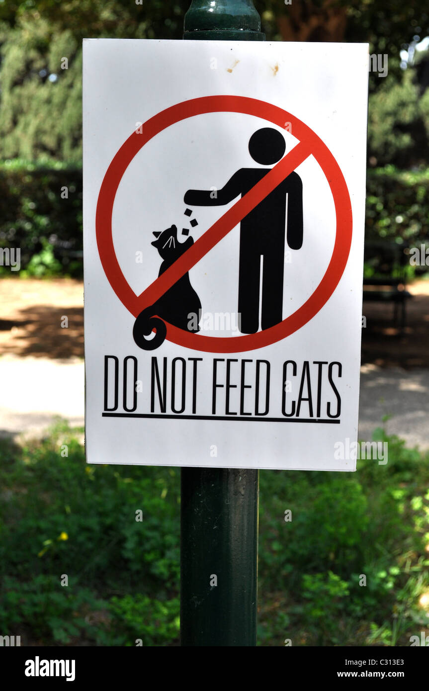 Beirut's cats need feeding but this is banned in the gardens at the