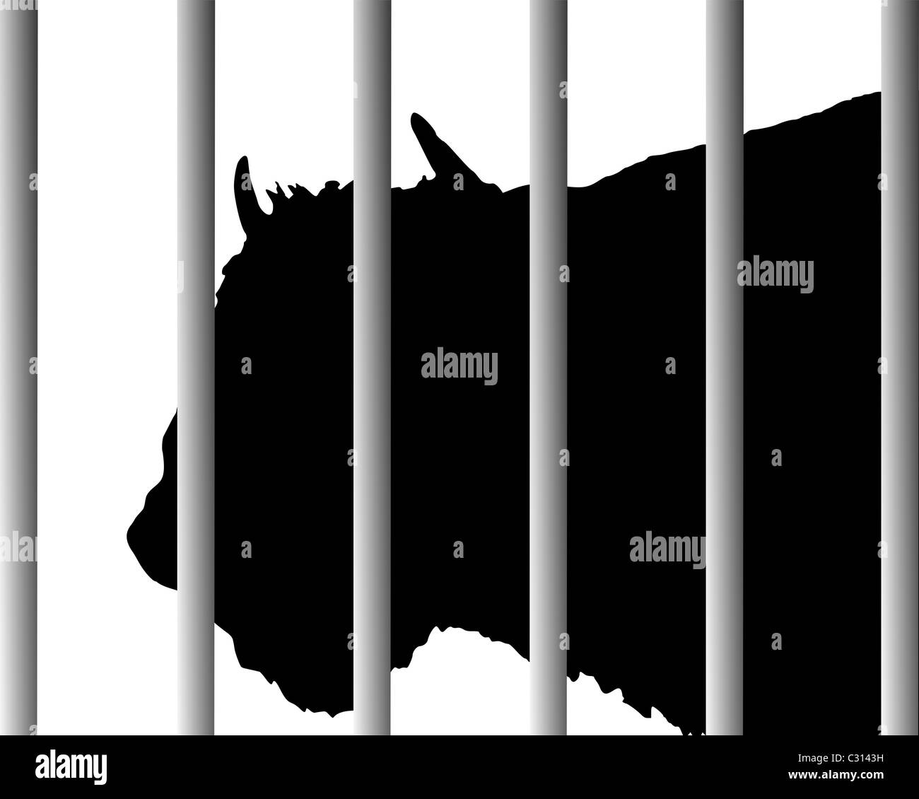 Bison in zoo Stock Photo - Alamy