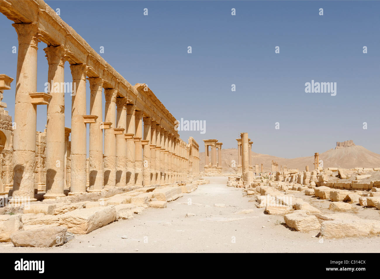 Central section of the Great Colonnade Street that covers the area from the Monumental arch to the Tetrapylon at Palmyra Syria. Stock Photo