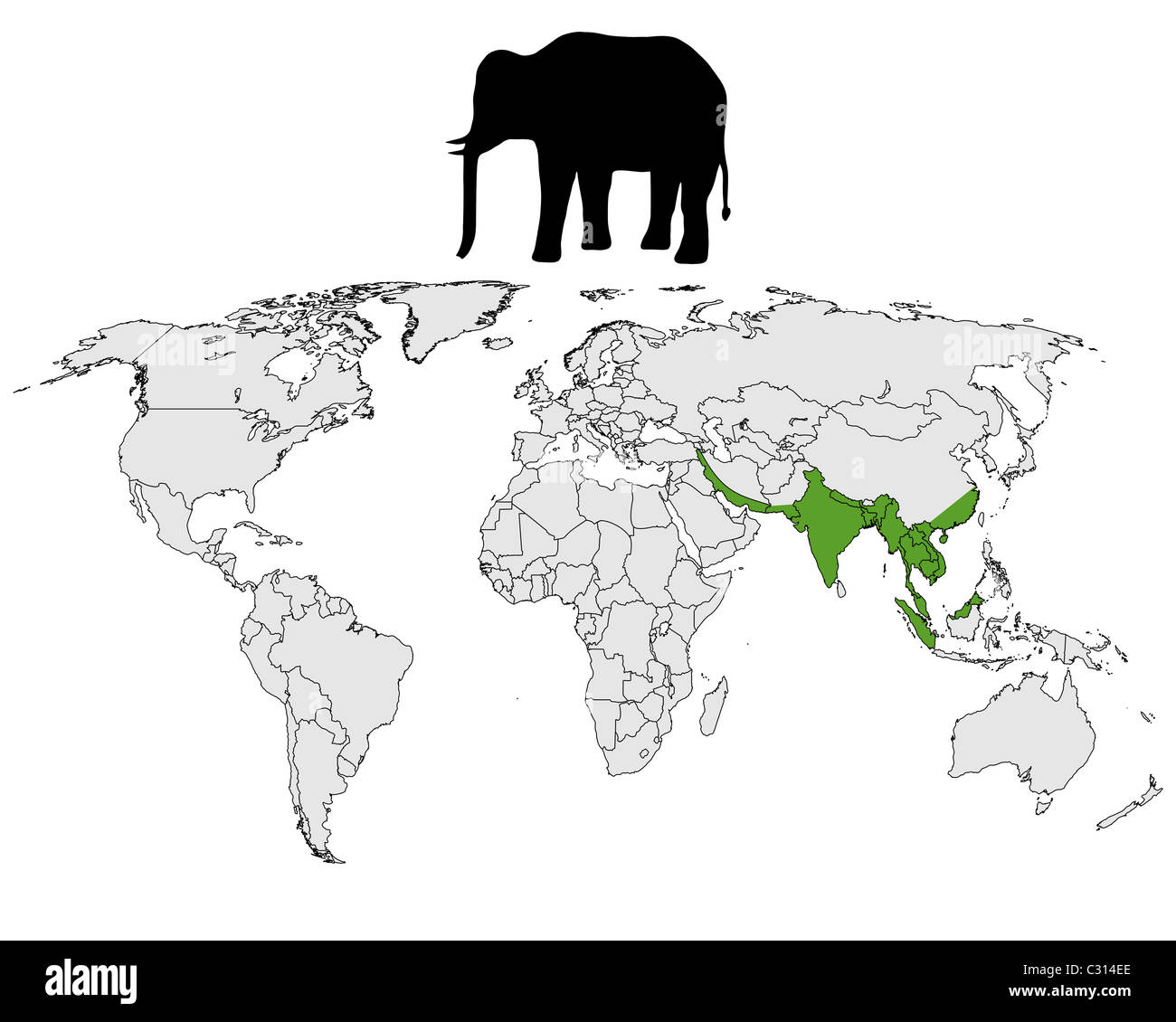 Asian Elephant Range C314EE 