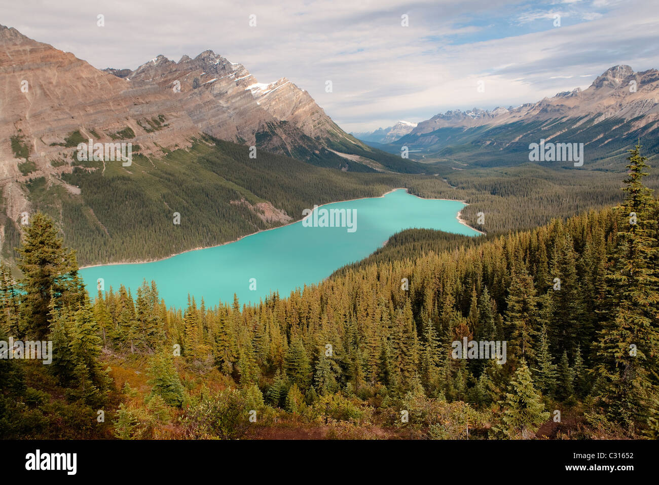 Peyto Lake in Banff National Park Stock Photo - Alamy