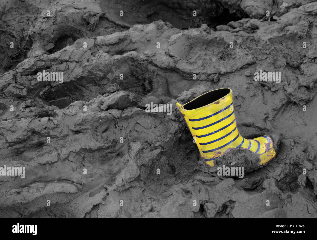 Left Behind Stock Photo