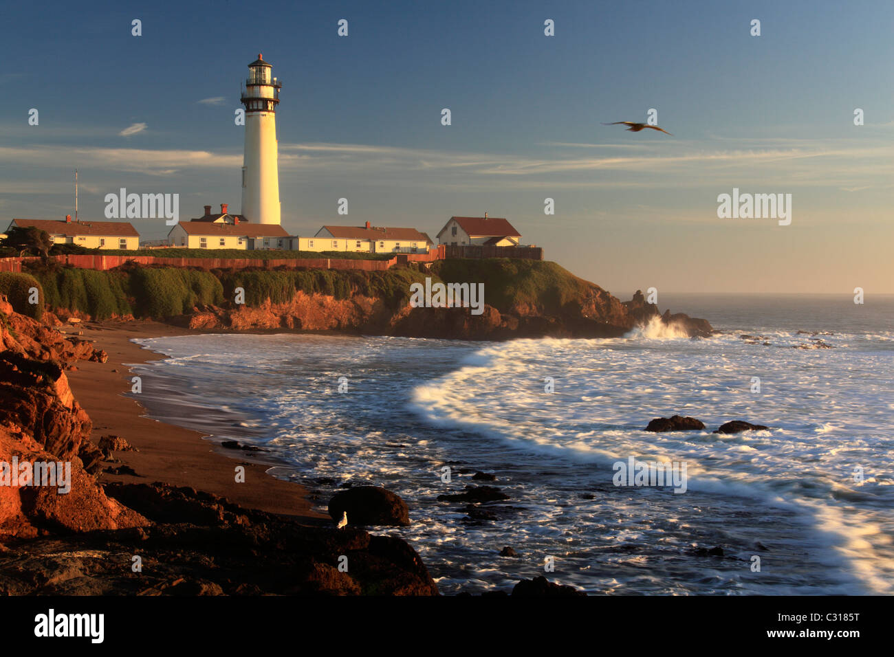 Pigeon Pt. Light Station and coastal cliffs late afternoon, California coast, United States Stock Photo