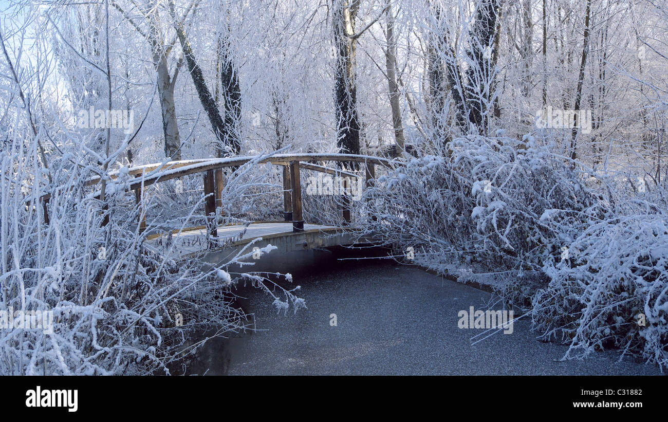 The small bridge in winter Stock Photo