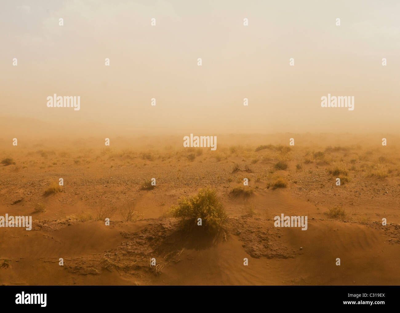 North American Southwest desert sandstorm Stock Photo