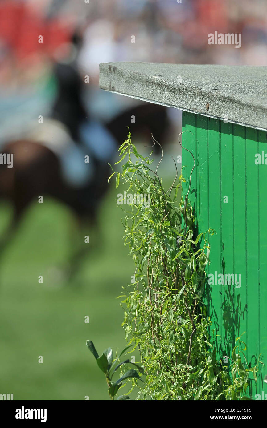 Joy Dawes riding FINNISTERRE goes past the judges hut. Mitsubishi