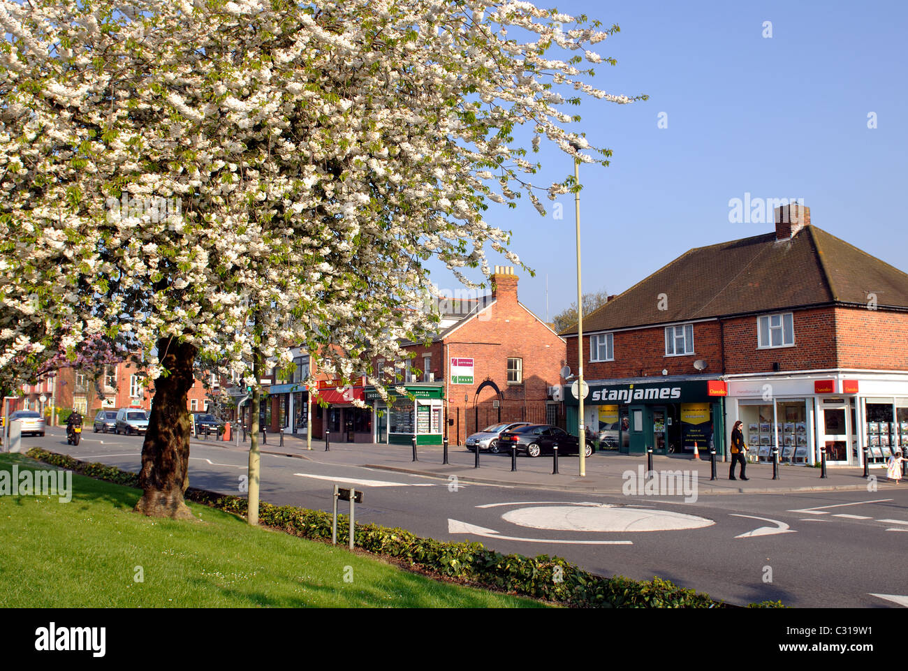 Spring blossom in Broadway, Didcot, Oxfordshire, England, UK Stock Photo