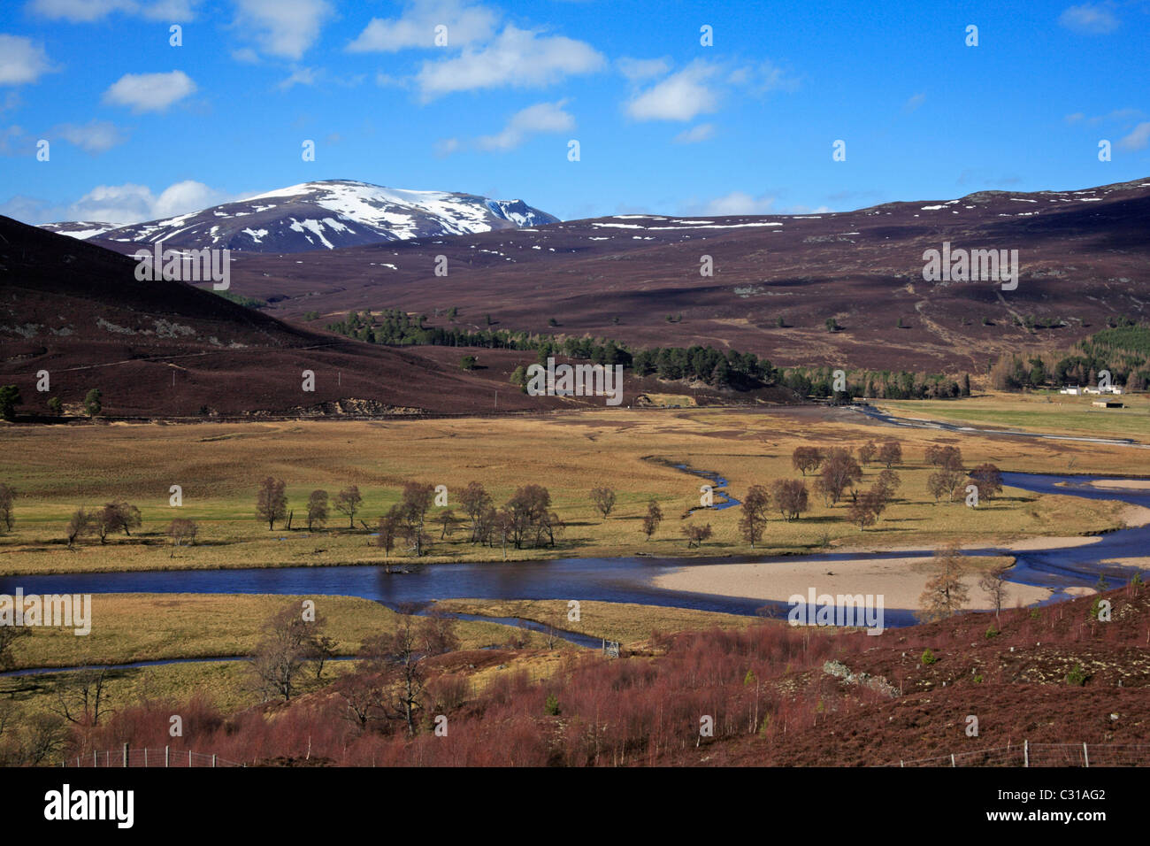 A view of the River Dee towards the Linn of Quoich near Braemar, Aberdeenshire, Scotland, UK, with snow capped mountains. Stock Photo