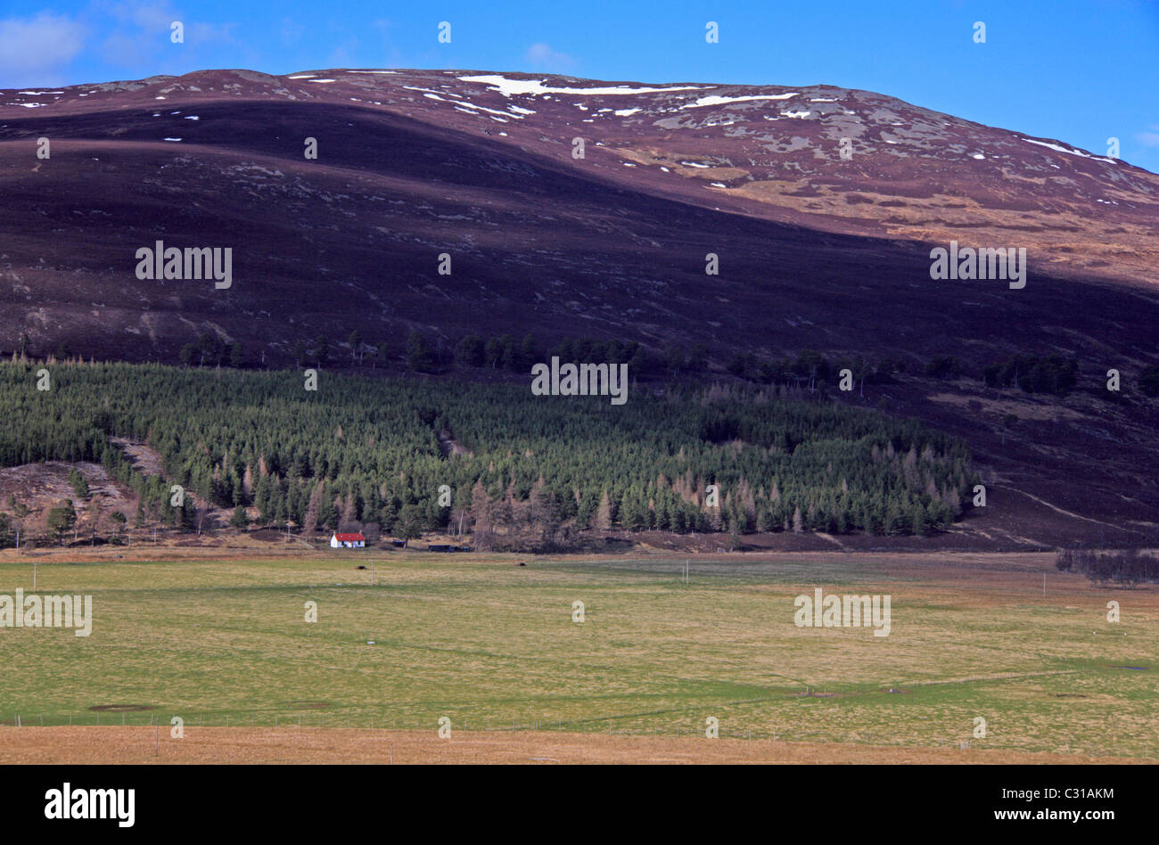 A view across the Dee Valley west of Braemar towards Carn na Drochaide, Aberdeenshire, Scotland, United Kingdom. Stock Photo