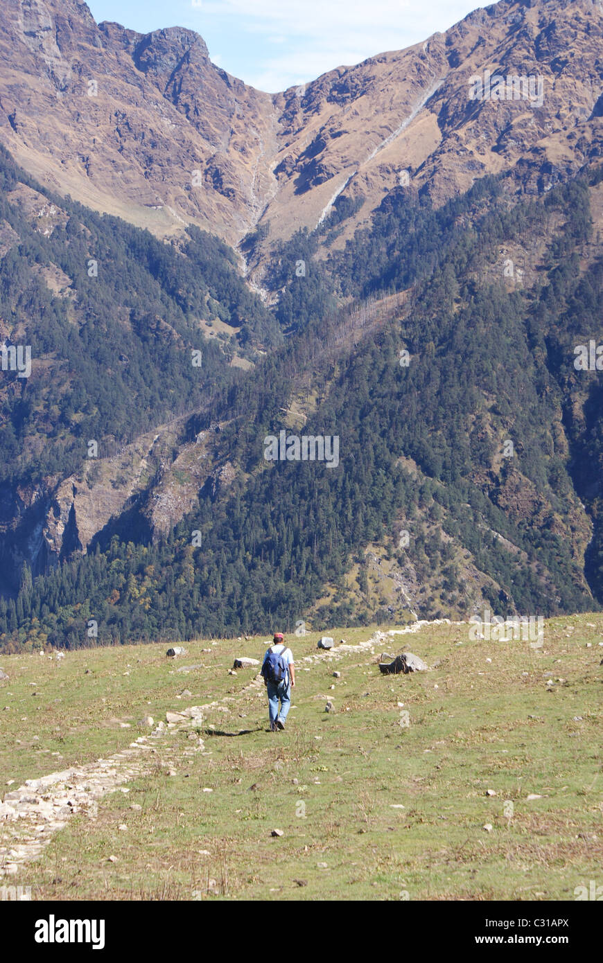Garhwal Himalayas, India: The old flagstone path of the Curzon Trail heads towards the Kuari Pass. Stock Photo
